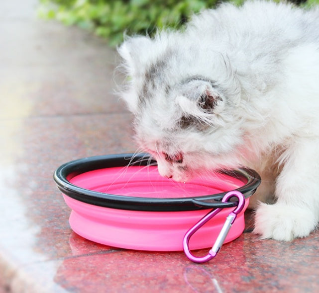 2 In 1Pet Water Bottle Silicone Bowl