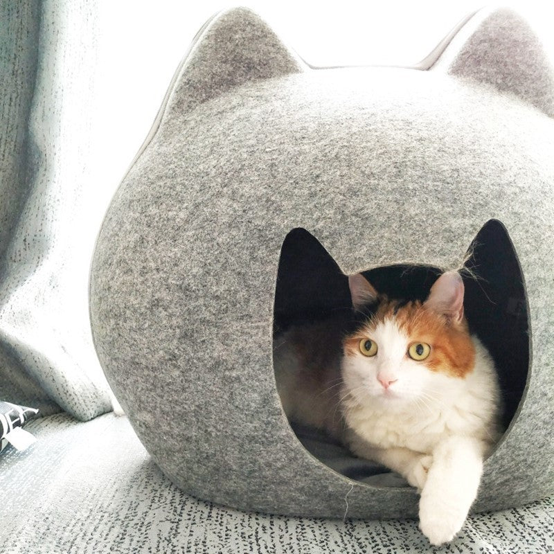 House Cat Villa