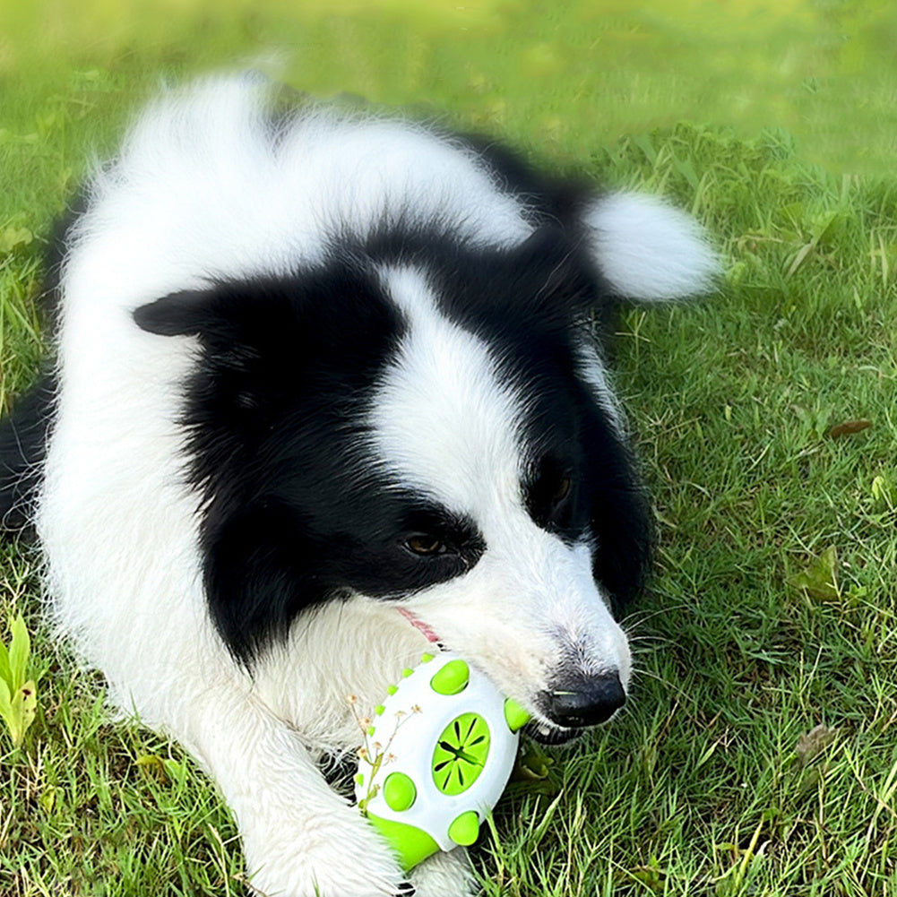 Toy Leaking Food Toys For Small Large Dogs and Cat