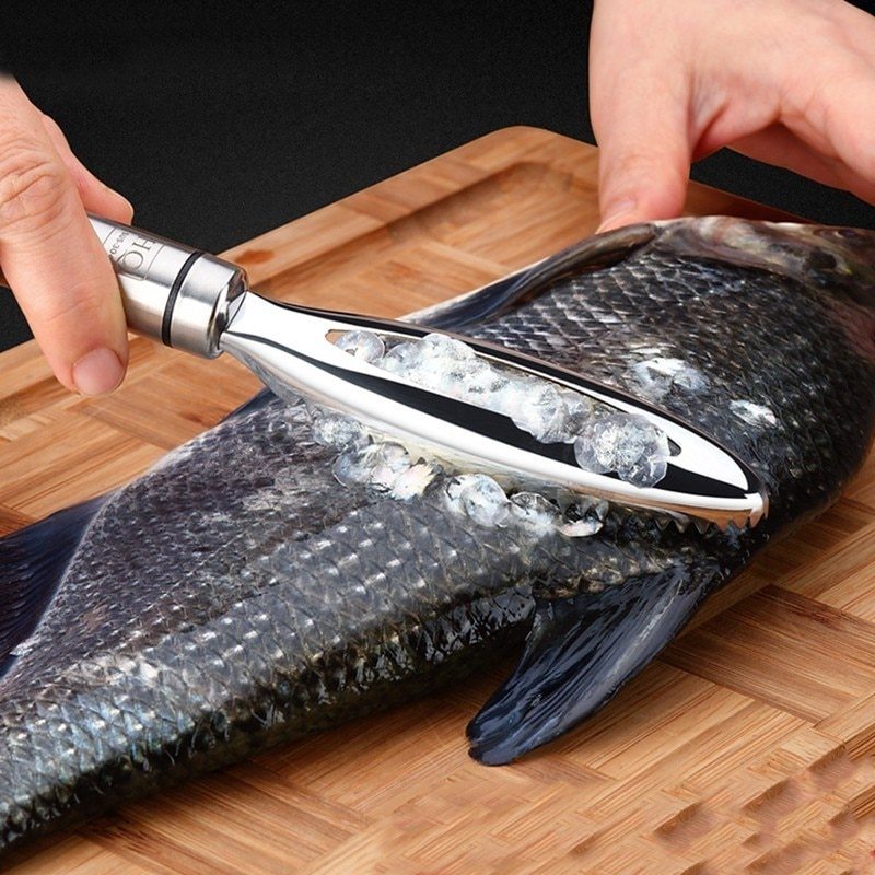 430 Stainless Steel Scale Tool Kitchen