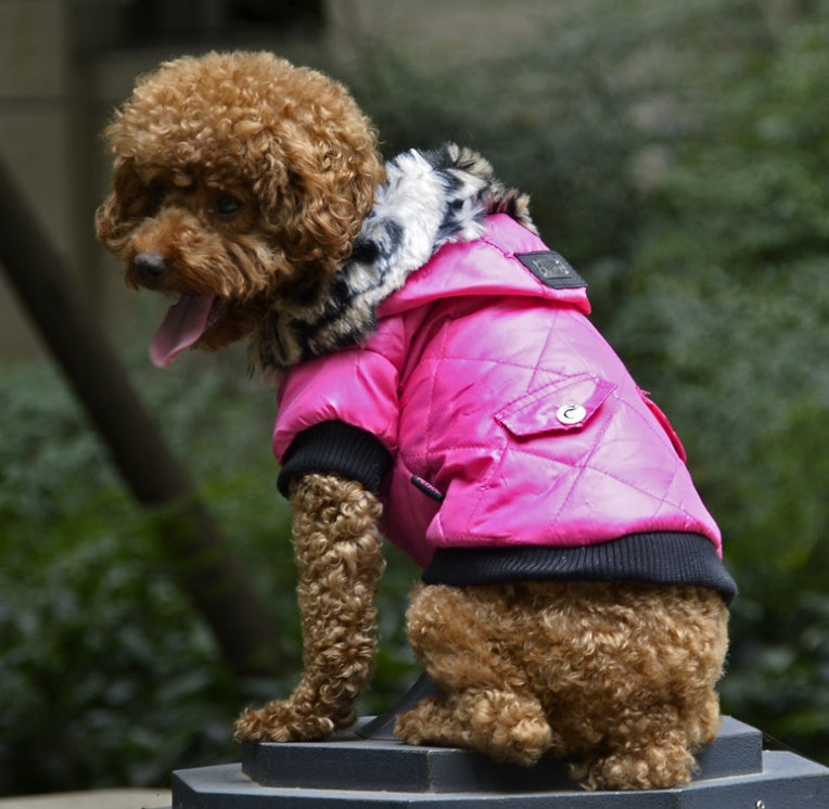 Cross-border pet supplies clothes .