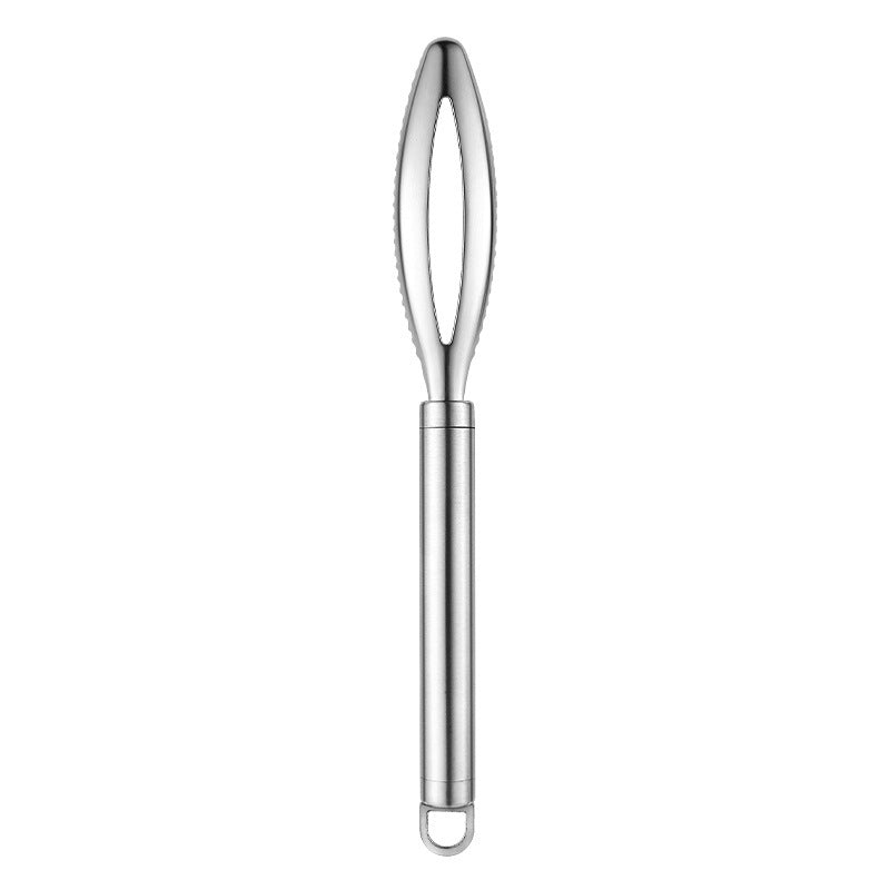 430 Stainless Steel Scale Tool Kitchen