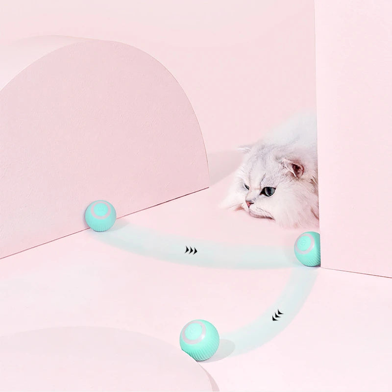 Remote Control Interactive Cat Car Toy USB Charging