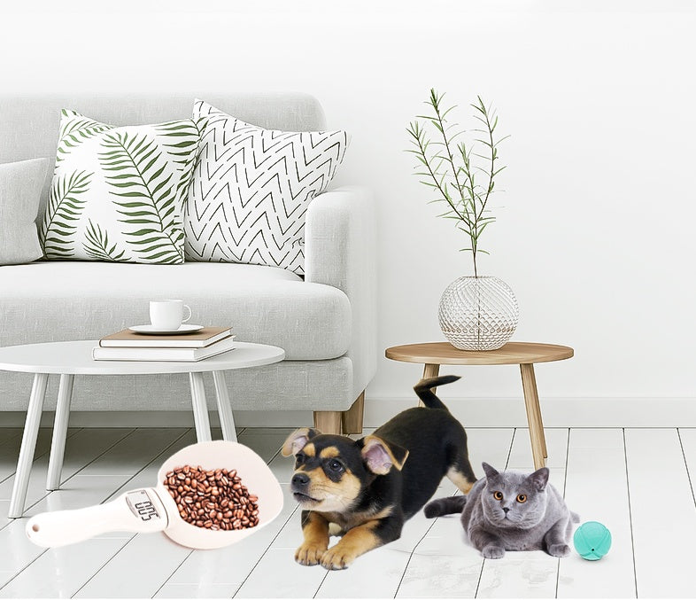 Pet Feeding Spoon