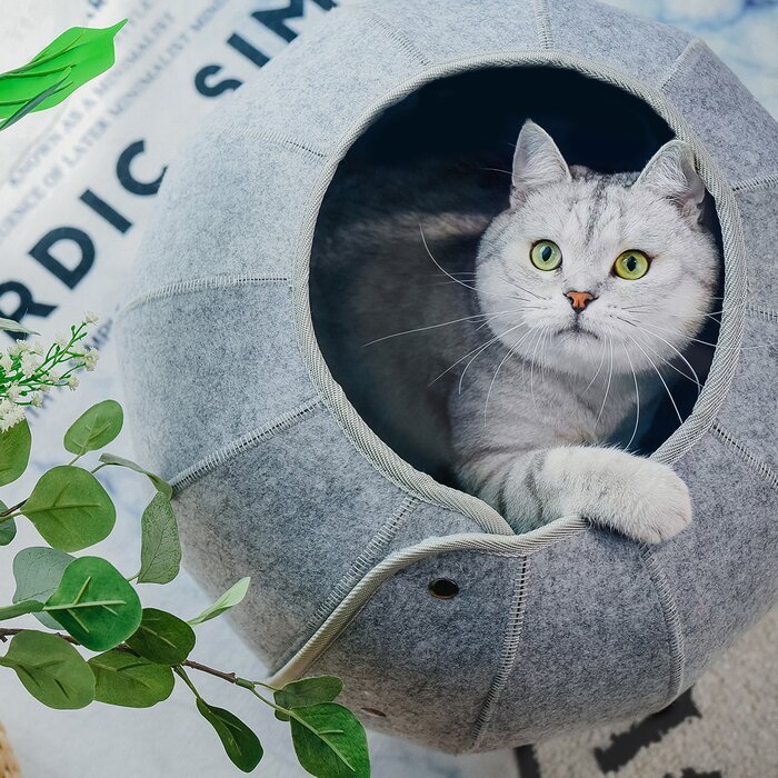 Cat Tunnel Toy Foldable