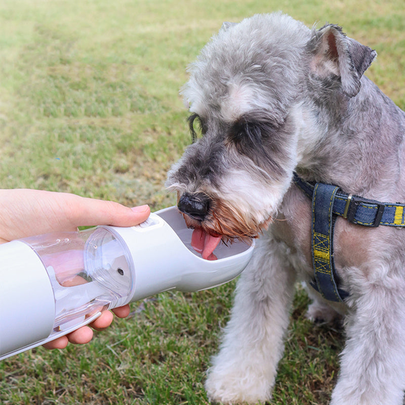 Water cup for pets.