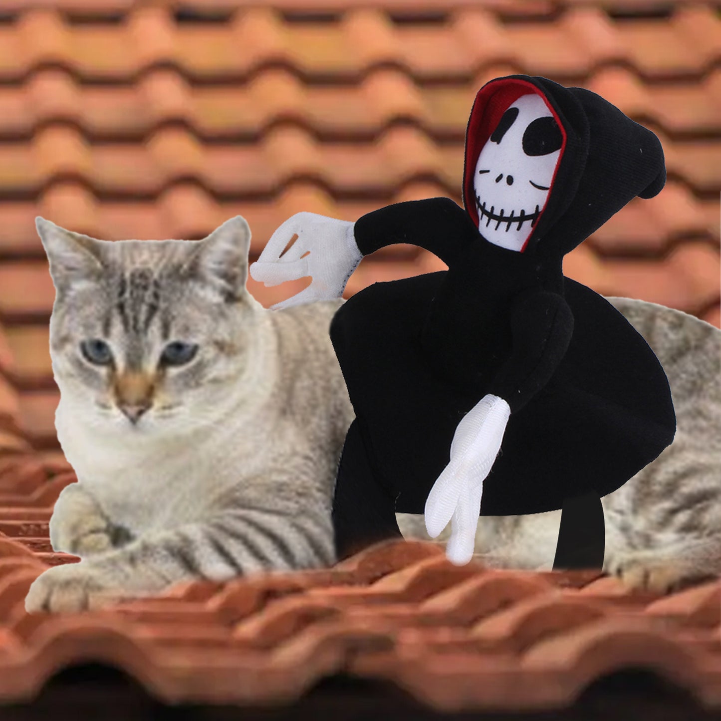 NEW Funny Pet Halloween Costume.