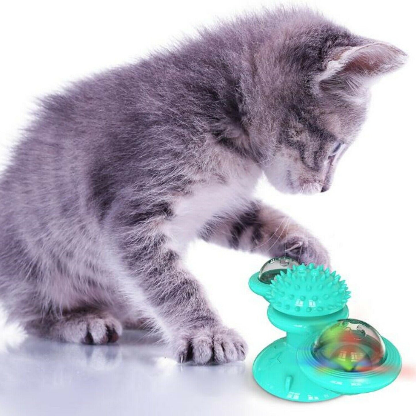 New  Cat Toy