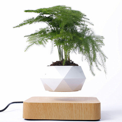 Magnetic Floating Bonsai