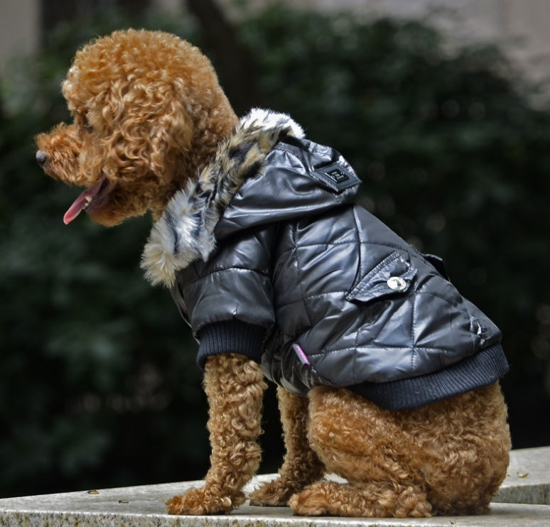 Cross-border pet supplies  clothes .