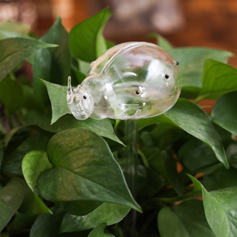 Glass Automatic Self Watering Bird