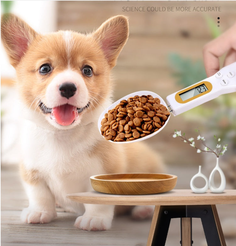 Pet Feeding  Spoon