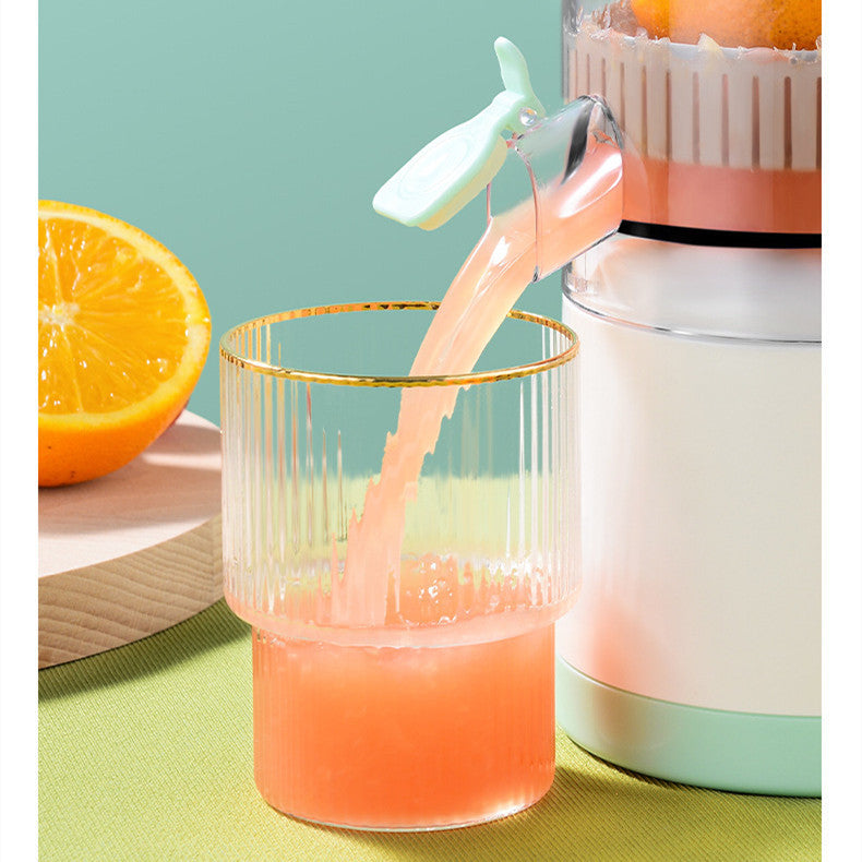 New Multi-function Portable Juicer