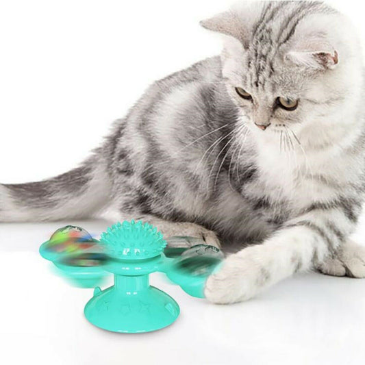 New  Cat Toy