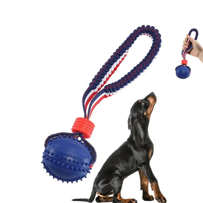 Dog Toy Ball for training