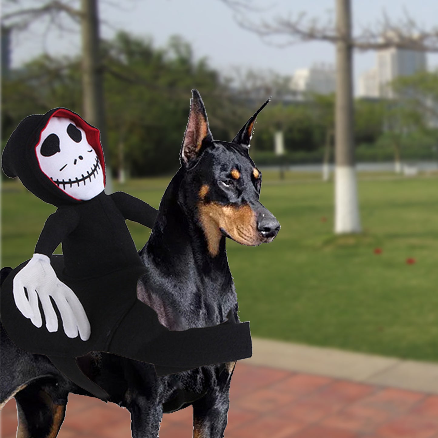 NEW Funny Pet Halloween Costume.