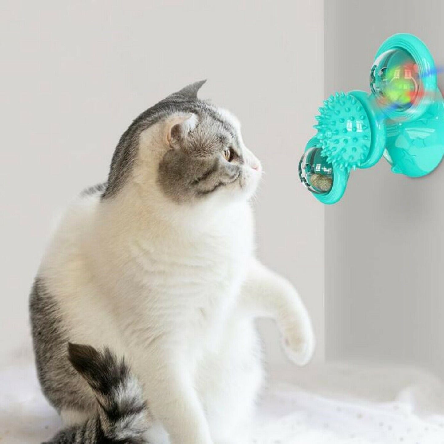 New  Cat Toy
